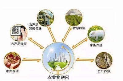 鄉(xiāng)村規(guī)劃設(shè)計丨中國農(nóng)業(yè)十大戰(zhàn)略布局 風口、獨角獸與投資熱點深度解析